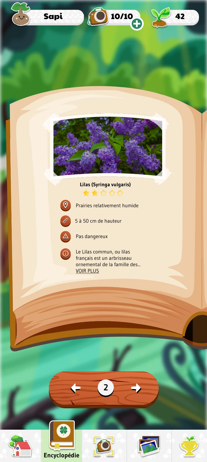 Maquette de la fiche Lilas dans l’encyclopédie Sapify